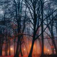 Park skąpany w listopadowej mgle