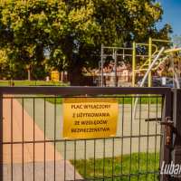 zdjęcie kasztanowiec przy ul. Szaniawskiego