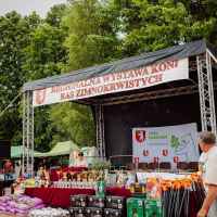 zdjęcie Wystawa koni ras zimnokrwistych w Tarle