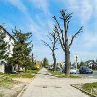 Lubartów ul. Kopernika