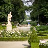 Miasto Lubartów