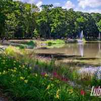 Park w Lubartowie