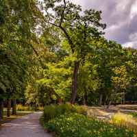 Park w Lubartowie