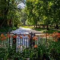 Park w Lubartowie