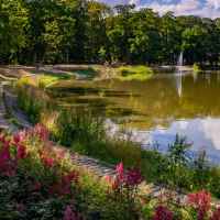 Park w Lubartowie