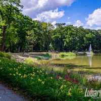 Park w Lubartowie
