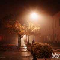 Lubartów