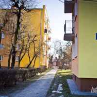 Lubartów