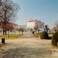 Lubartów