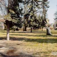 Lubartów