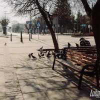 Lubartów