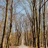Lubartów