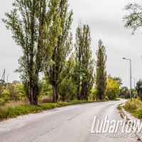 Lubartów