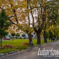 Lubartów