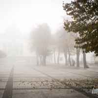 Lubartów we mgle