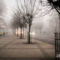 Lubartów we mgle