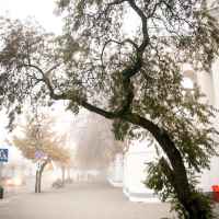 Lubartów we mgle