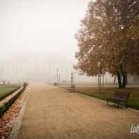 Lubartów we mgle