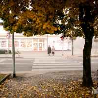 Lubartów we mgle