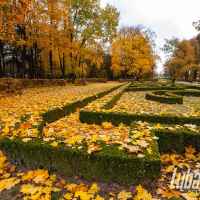 Jesień w parku