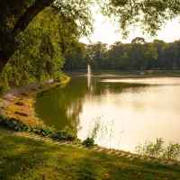 Park w Lubartowie