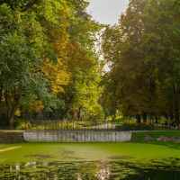 Park w Lubartowie