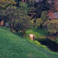 Park
