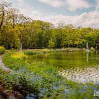 Park w Lubartowie
