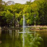 Park w Lubartowie