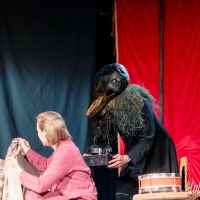 zdjecie
