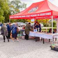 zdjęcie Piknik z Produktem Polskim