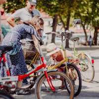 rowery retro w Lubartowie