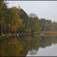 Firlej