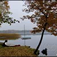 Firlej