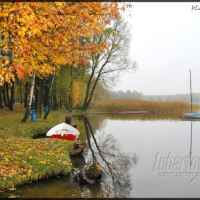Firlej