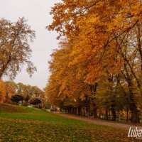 Jesień w Sernikach