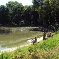 Piknik ekologiczno - wędkarski