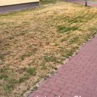 zdjęcie Zieleń zamienia się w klepisko
