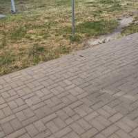 Zieleń zamienia się w klepisko