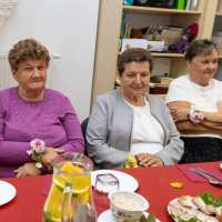 Dzień Seniora w Gminie Lubartów