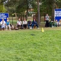 Olimpiada Sportowa Seniorów