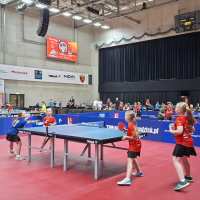 Pingla Cup