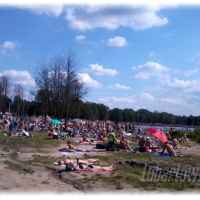 Firlej 