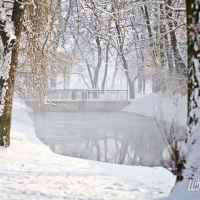 Zima 2013