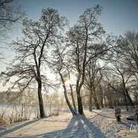 Zima 2013