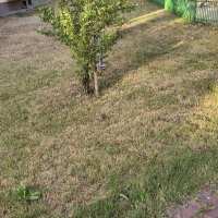 zdjęcie Zieleń zamienia się w klepisko