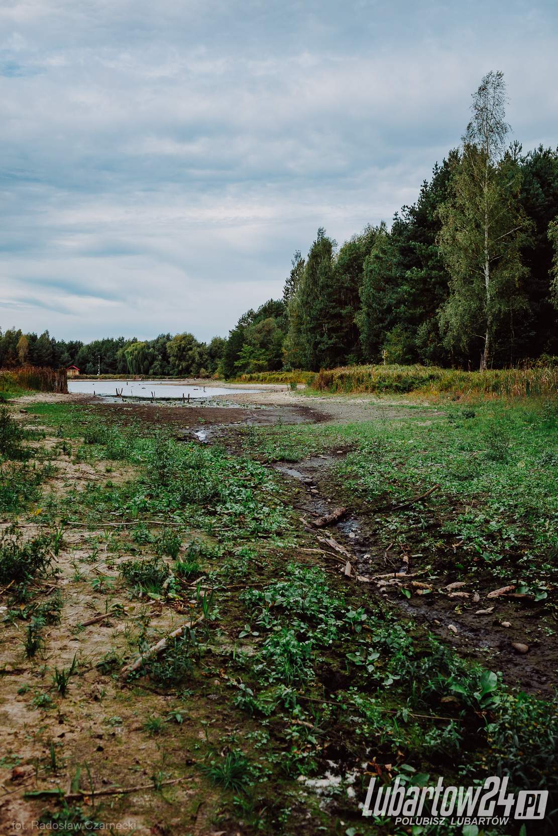 Zalew w Pałecznicy
