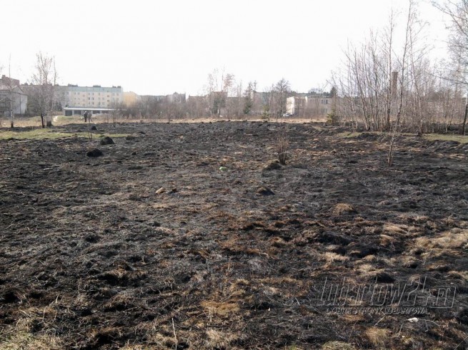 Bezmyślne podpalenie trawy przy ul.Łąkowej