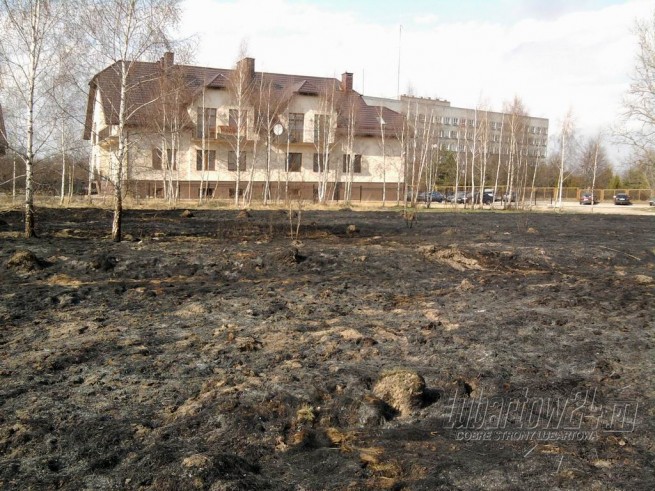 Bezmyślne podpalenie trawy przy ul.Łąkowej
