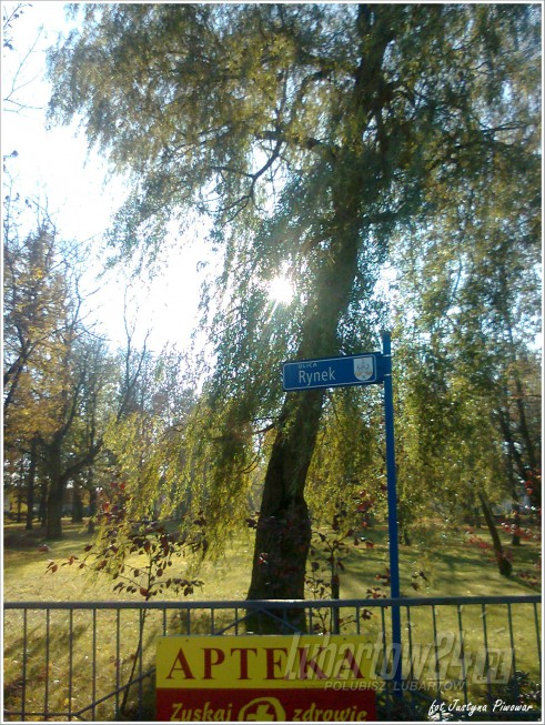 Parku w Firleju